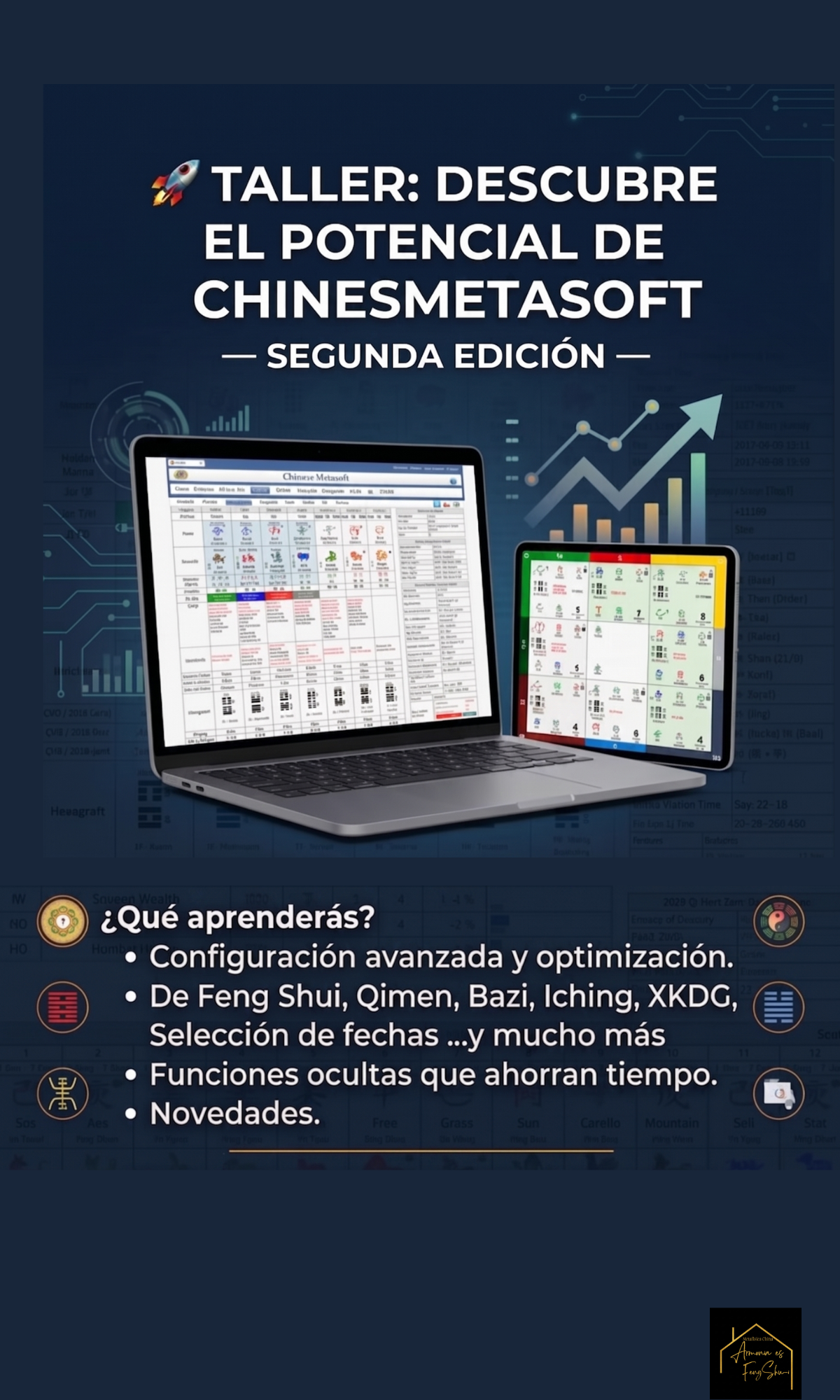 Domina Chinese Metasoft (2ª Edición)